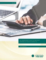 Cover of Audit of Executive Expenses at School District 61 report with image of worker at a desk with a calculator. 