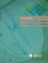 Cover of Financial Statement Audit Coverage Plan 2017 - 2019 report with turquoise image of report graphs and a calculator. 